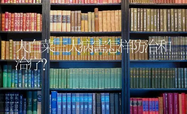 大白菜三大病害怎样防治和治疗？ | 蔬菜种植