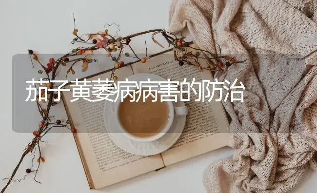 茄子黄萎病病害的防治 | 蔬菜种植