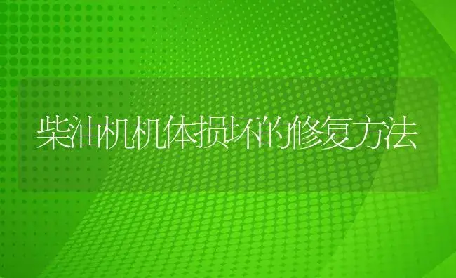 柴油机机体损坏的修复方法 | 农资农机