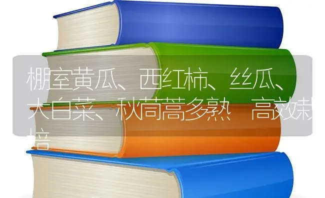 棚室黄瓜、西红柿、丝瓜、大白菜、秋茼蒿多熟 高效栽培 | 蔬菜种植