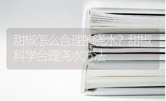 冶溪农民流转1200亩土地种西瓜 | 蔬菜种植