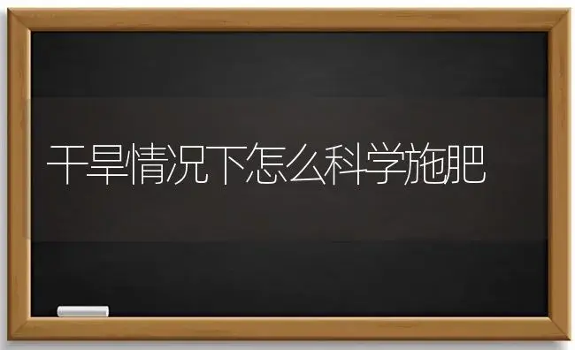 干旱情况下怎么科学施肥 | 植物肥料