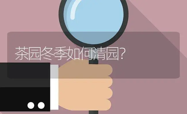 茶园冬季如何清园？ | 植物病虫害