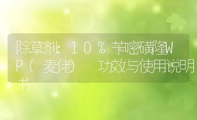 除草剂：10%苄嘧磺隆WP(麦佬)  | 适用防治对象及农作物使用方法说明书 | 植物农药