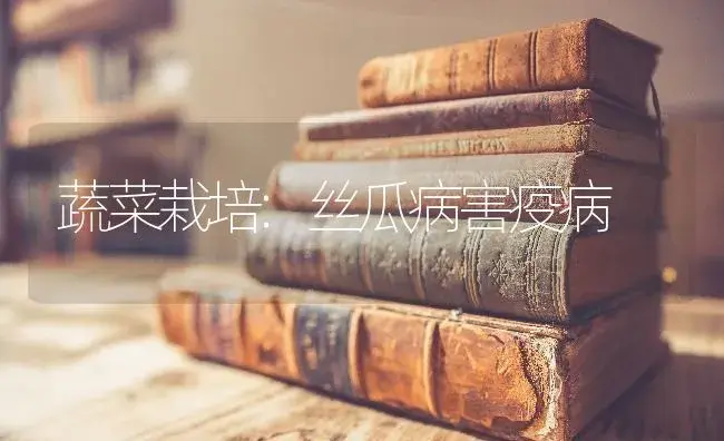 蔬菜栽培:丝瓜病害疫病 | 蔬菜种植