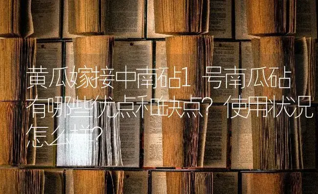 黄瓜嫁接中南砧1号南瓜砧有哪些优点和缺点？使用状况怎么样？ | 蔬菜种植