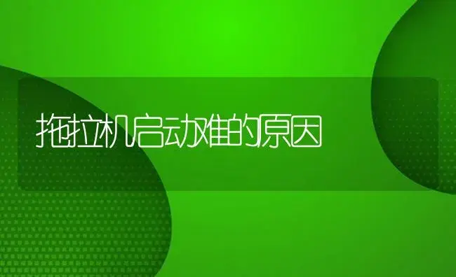 拖拉机启动难的原因 | 农资农机