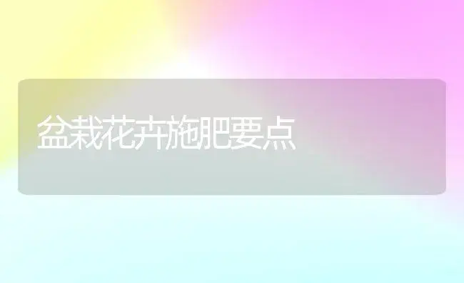 盆栽花卉施肥要点 | 植物肥料
