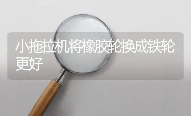 小拖拉机将橡胶轮换成铁轮更好 | 农资农机