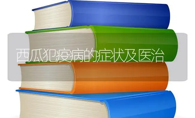 西瓜犯疫病的症状及医治 | 蔬菜种植