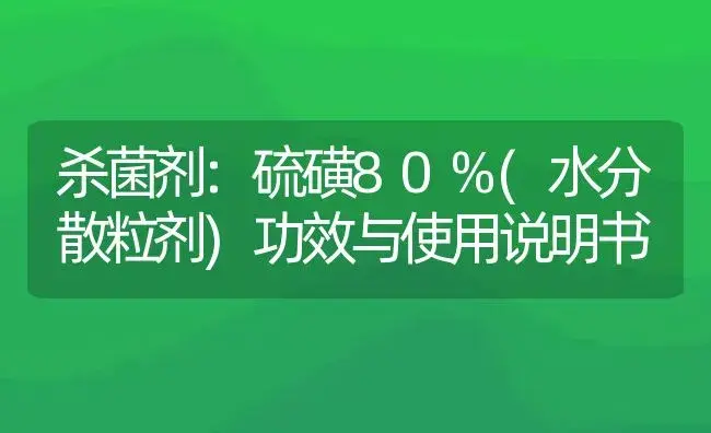 杀菌剂：硫磺80%(水分散粒剂) | 适用防治对象及农作物使用方法说明书 | 植物农药