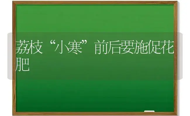 荔枝“小寒”前后要施促花肥 | 植物肥料