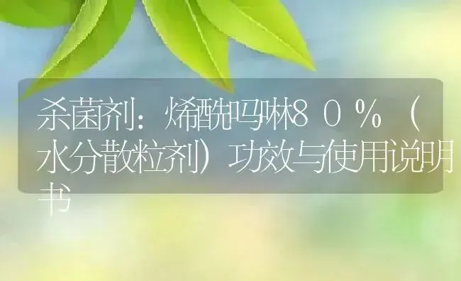 杀菌剂：烯酰吗啉80%（水分散粒剂） | 适用防治对象及农作物使用方法说明书 | 植物农药