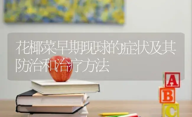 花椰菜早期现球的症状及其防治和治疗方法 | 蔬菜种植