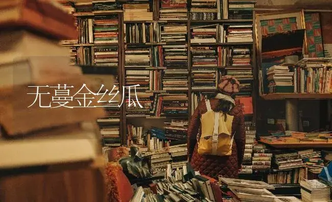 无蔓金丝瓜　 | 蔬菜种植