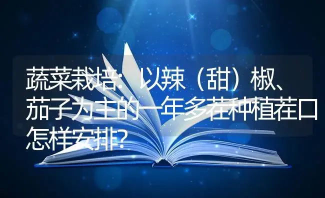 蔬菜栽培:以辣（甜）椒、茄子为主的一年多茬种植茬口怎样安排？ | 蔬菜种植