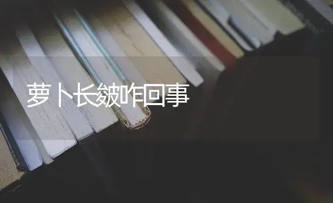 萝卜长皴咋回事 | 蔬菜种植