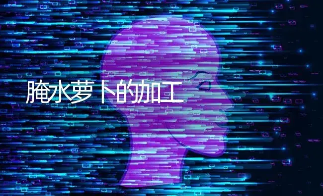 腌水萝卜的加工 | 蔬菜种植