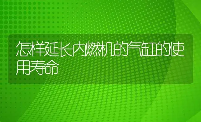 怎样延长内燃机的气缸的使用寿命 | 农资农机