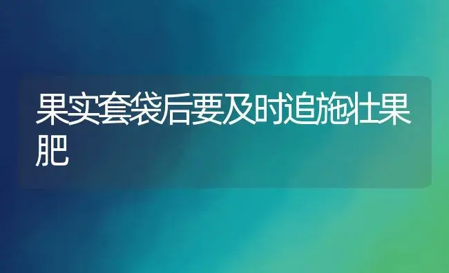 果实套袋后要及时追施壮果肥 | 植物肥料