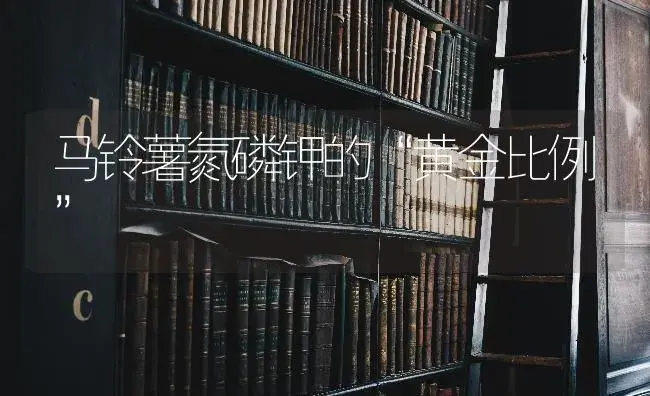 马铃薯氮磷钾的“黄金比例” | 蔬菜种植