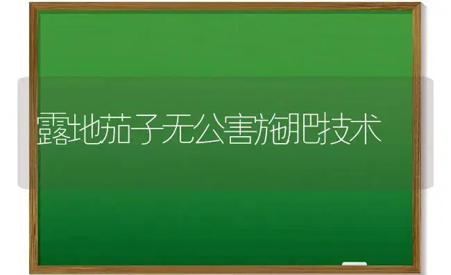 露地茄子无公害施肥技术 | 植物肥料