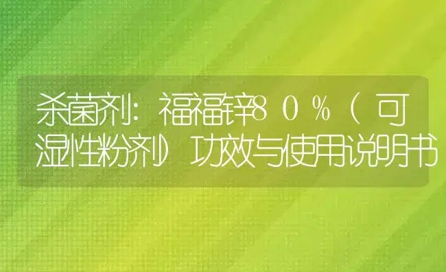 杀菌剂：福福锌80%(可湿性粉剂) | 适用防治对象及农作物使用方法说明书 | 植物农药