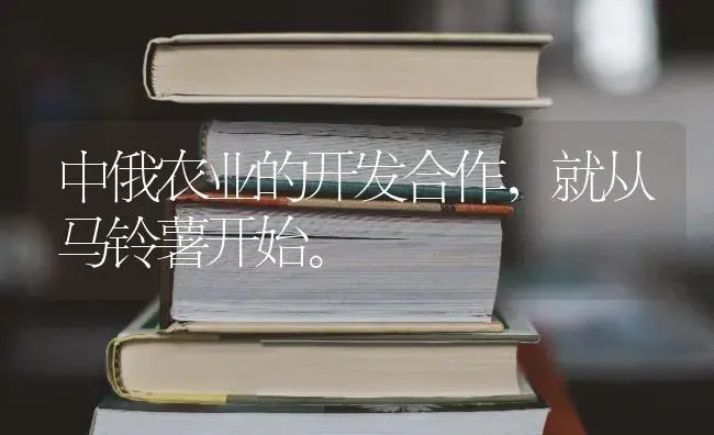 中俄农业的开发合作，就从马铃薯开始。 | 蔬菜种植