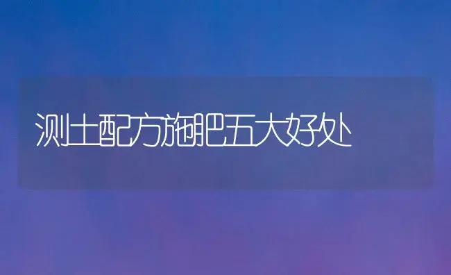 测土配方施肥五大好处 | 植物肥料