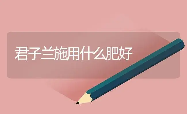 君子兰施用什么肥好 | 植物肥料