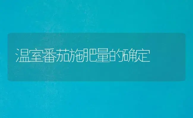 温室番茄施肥量的确定 | 植物肥料