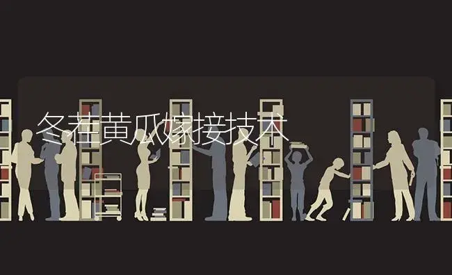 冬茬黄瓜嫁接技术 | 蔬菜种植