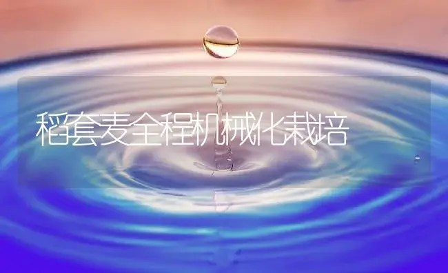 稻套麦全程机械化栽培 | 农资农机