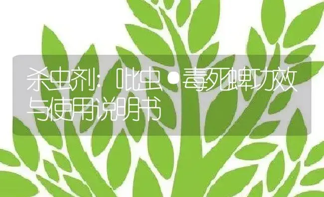 杀虫剂：吡虫·毒死蜱 | 适用防治对象及农作物使用方法说明书 | 植物农药