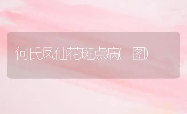 何氏凤仙花斑点病(图) | 植物病虫害