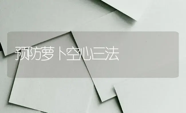 预防萝卜空心三法 | 蔬菜种植