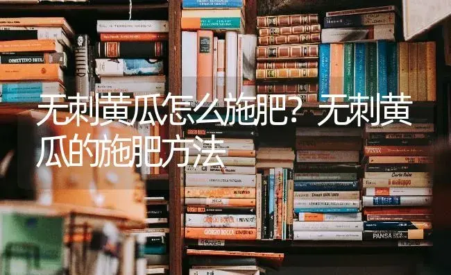 无刺黄瓜怎么施肥？无刺黄瓜的施肥方法 | 蔬菜种植