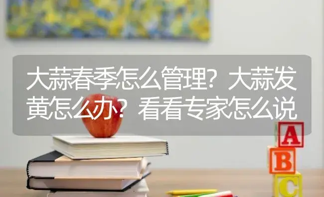 大蒜春季怎么管理？大蒜发黄怎么办？看看专家怎么说 | 蔬菜种植