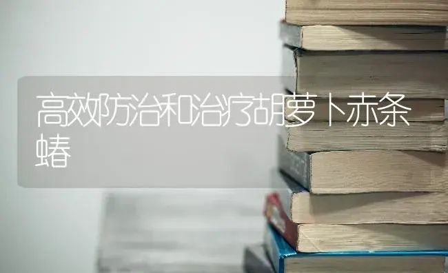 高效防治和治疗胡萝卜赤条蝽 | 蔬菜种植