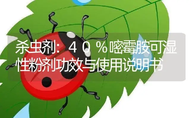 杀虫剂：40%嘧霉胺可湿性粉剂 | 适用防治对象及农作物使用方法说明书 | 植物农药