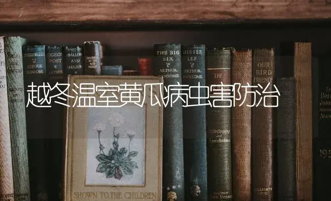 越冬温室黄瓜病虫害防治 | 蔬菜种植