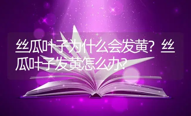 丝瓜叶子为什么会发黄？丝瓜叶子发黄怎么办? | 蔬菜种植