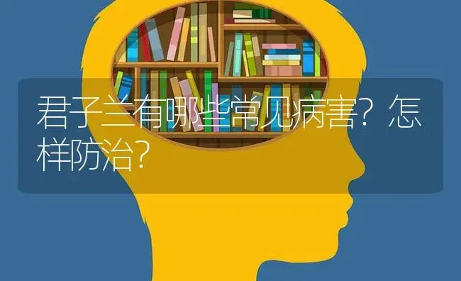 君子兰有哪些常见病害？怎样防治？ | 植物病虫害