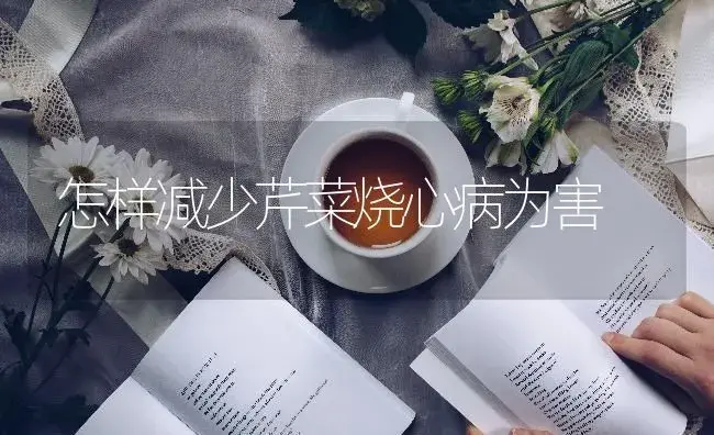 怎样减少芹菜烧心病为害 | 蔬菜种植