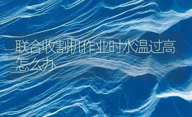 联合收割机作业时水温过高怎么办 | 农资农机