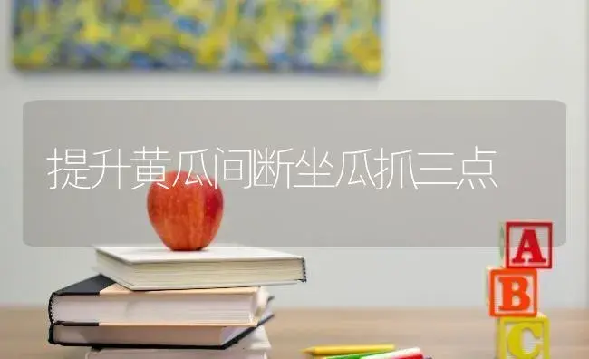 提升黄瓜间断坐瓜抓三点 | 蔬菜种植