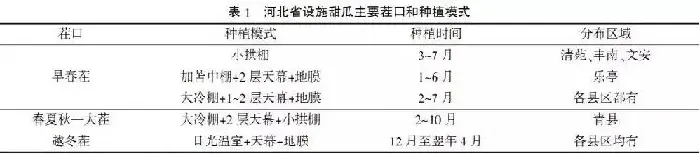 甜瓜栽培一亩赚5万的机要！