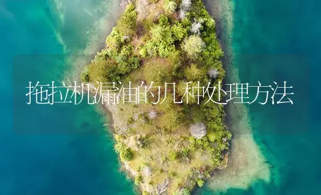 拖拉机漏油的几种处理方法 | 农资农机