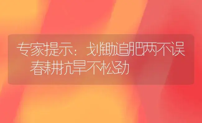 专家提示：划锄追肥两不误 春耕抗旱不松劲 | 植物肥料