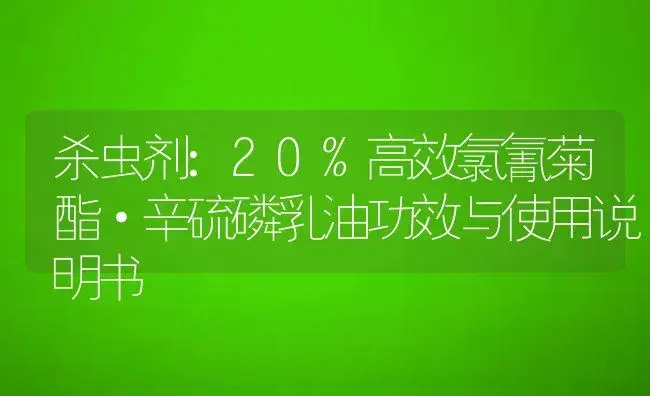 杀虫剂：20%高效氯氰菊酯·辛硫磷乳油 | 适用防治对象及农作物使用方法说明书 | 植物农药